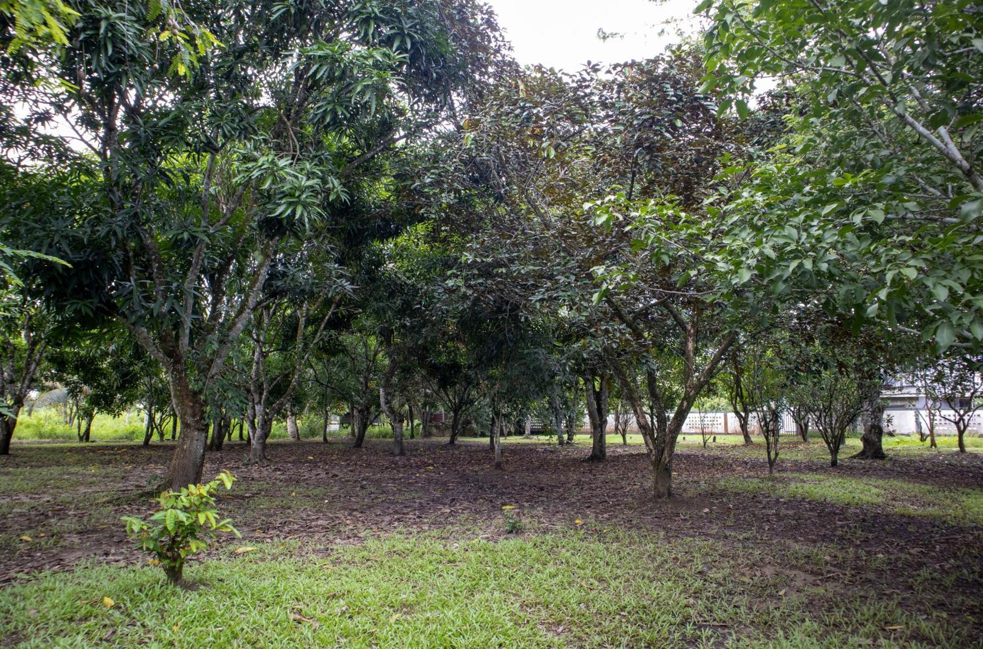 Sabajo Appartement Verhuur Paramaribo Exterior foto