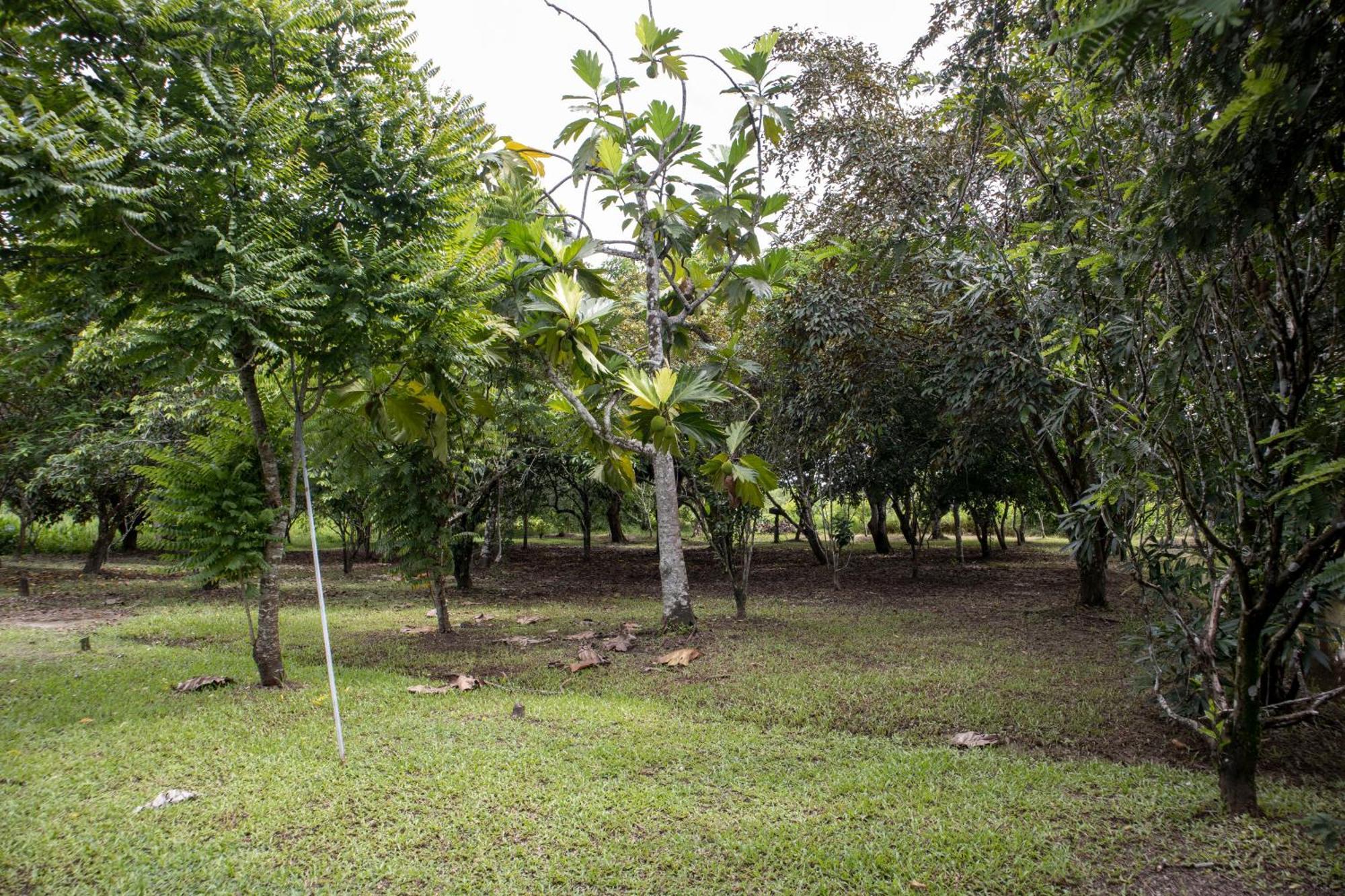 Sabajo Appartement Verhuur Paramaribo Exterior foto